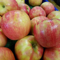 MALUS  `HONEY CRISP` (APPLE)