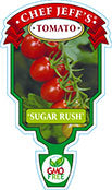 Tomato 'Sugar Rush'